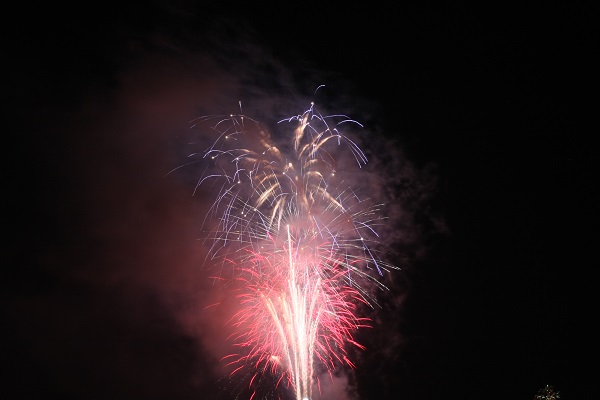 Fireworks lighting up the night sky