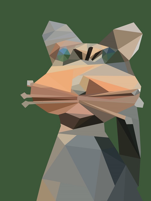low poly representation of a cat